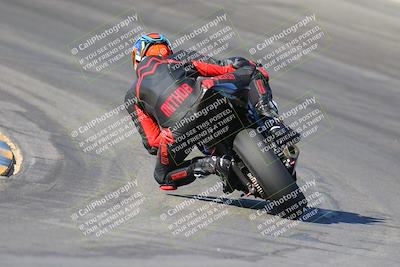 media/Nov-12-2023-SoCal Trackdays (Sun) [[5d1fba4e7d]]/Turn 10 Backside (115pm)/